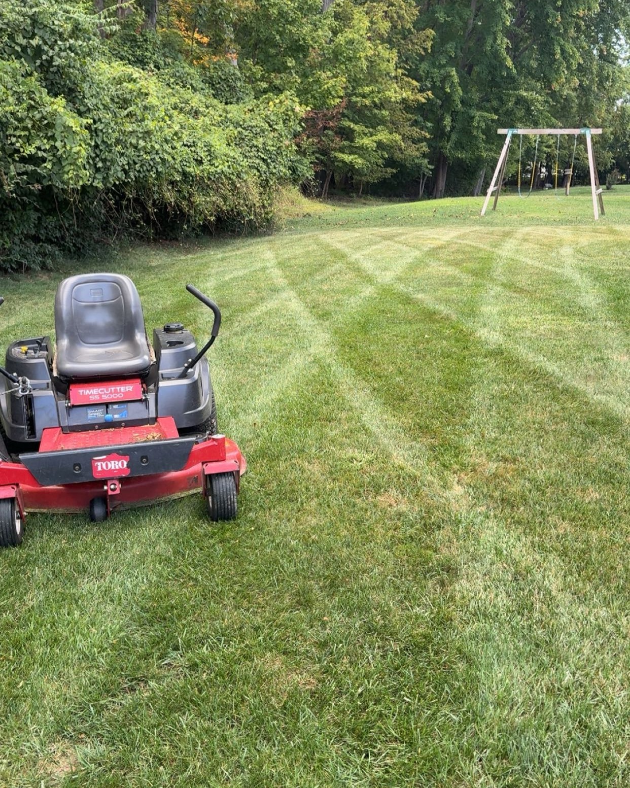 Freshly mowed green lawn with clean mulch beds