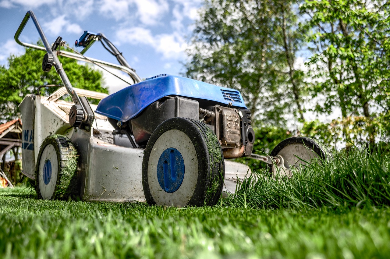 Lawn Aeration and Overseeding