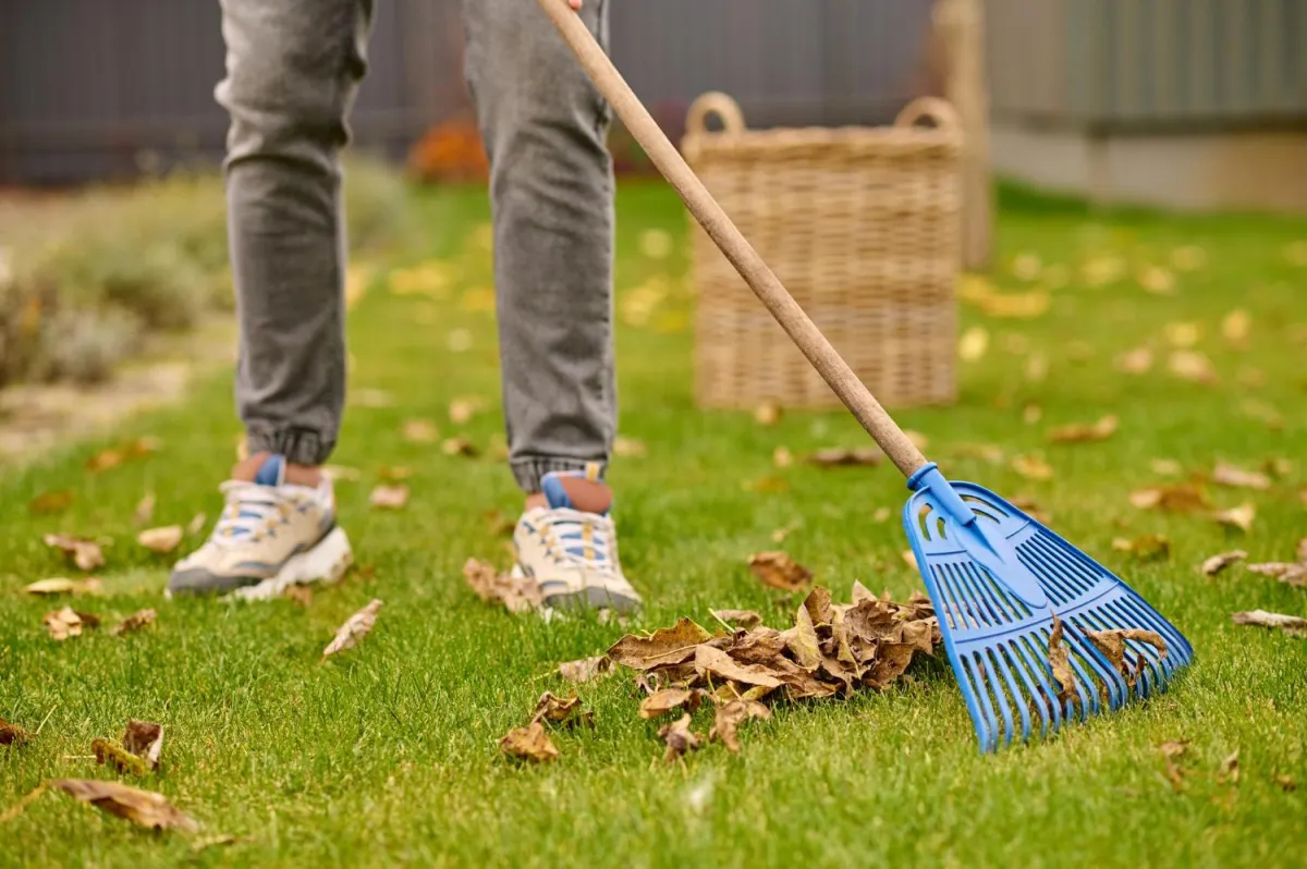 Landscape Maintenance and Cleanup