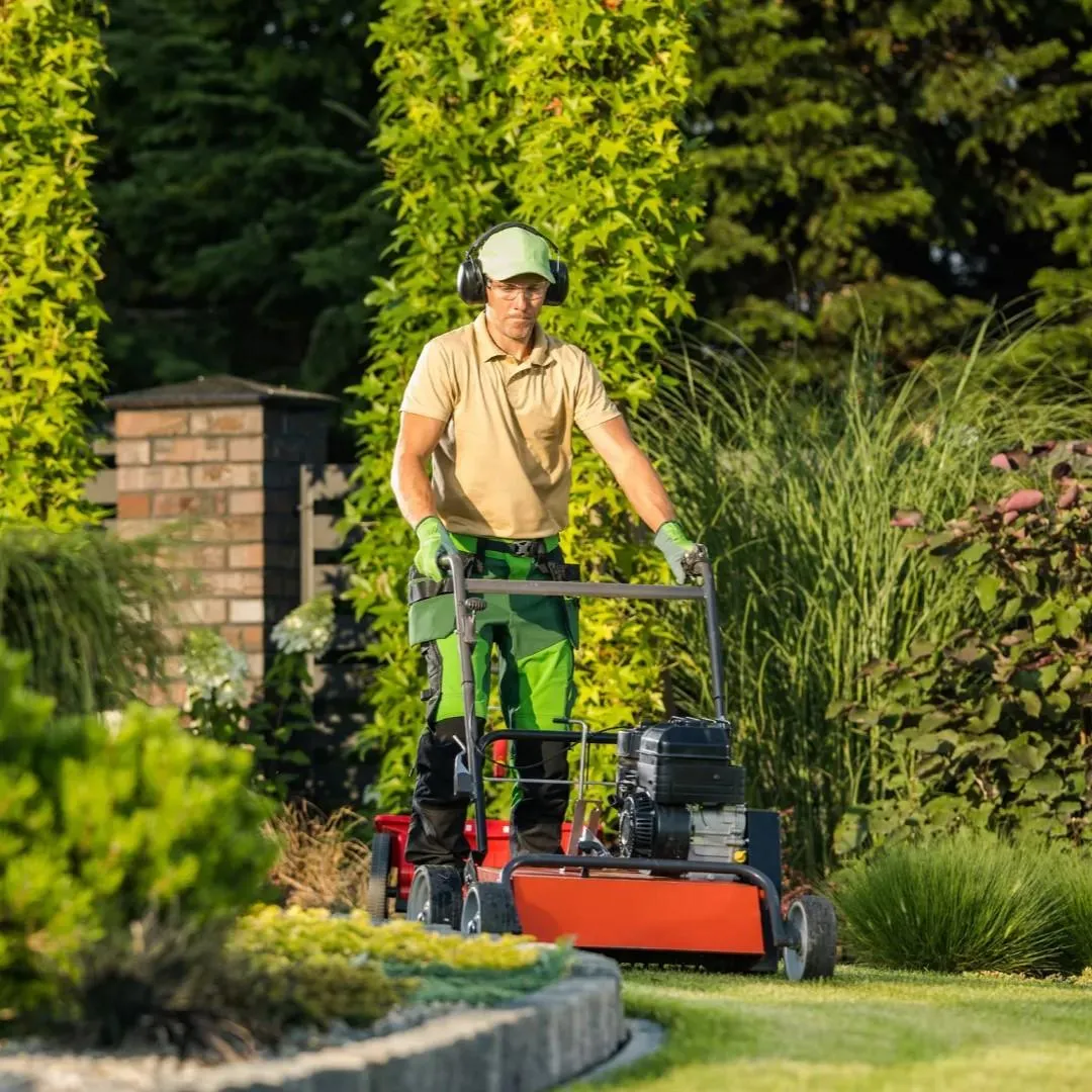 lawn care maintenance services