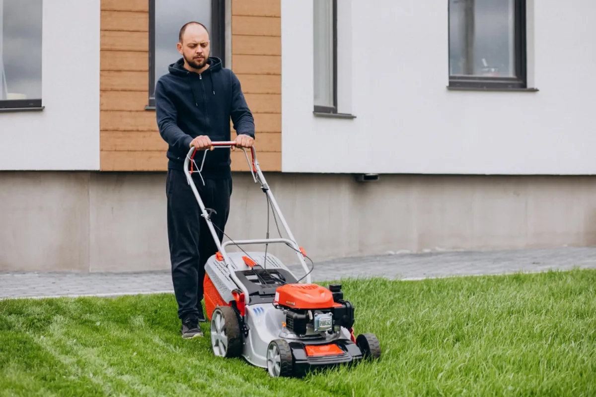 Lawn Aeration and Overseeding