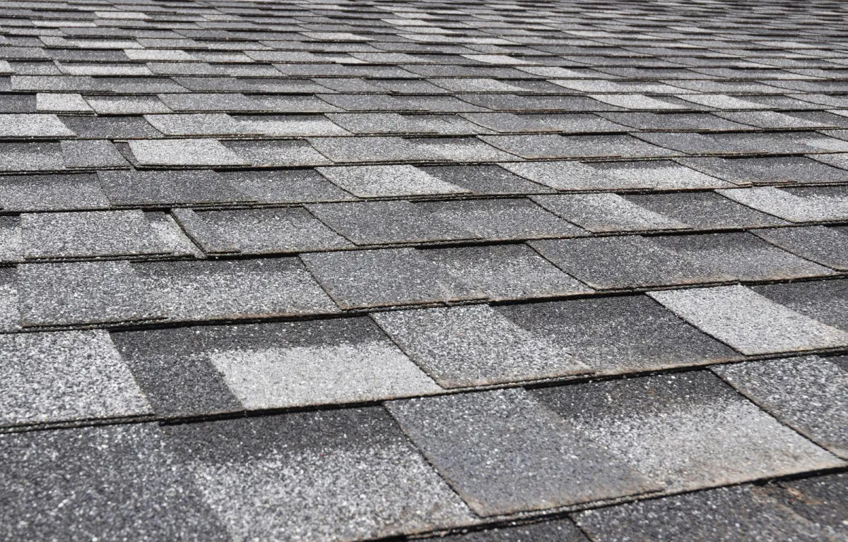 shingle roofing