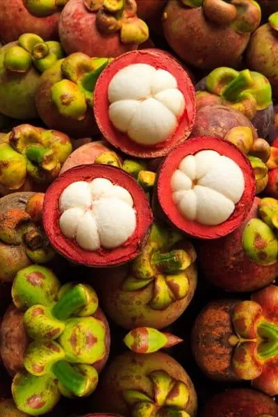 mangosteen