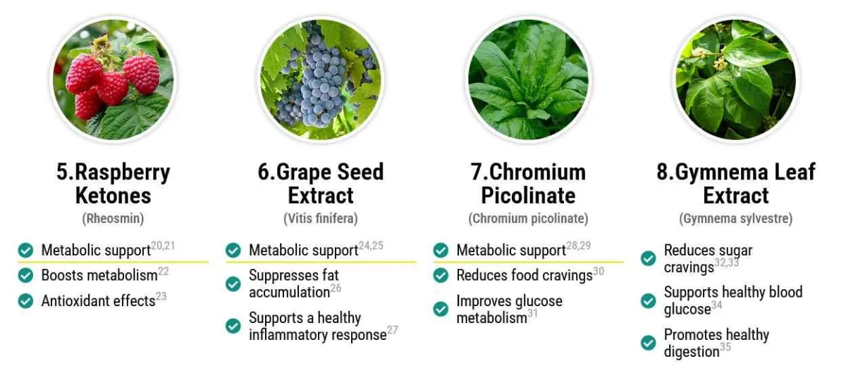 ingredients - 2