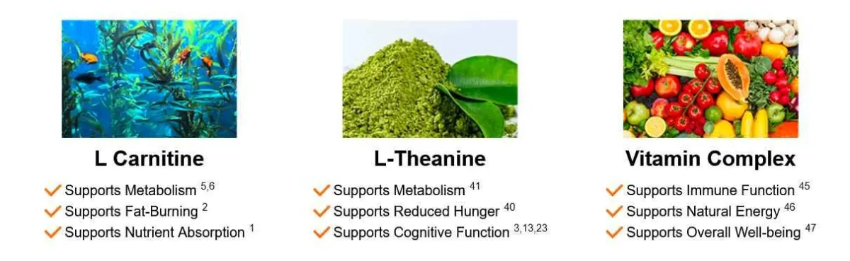 ingredients - 2