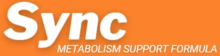 sync logo - 2
