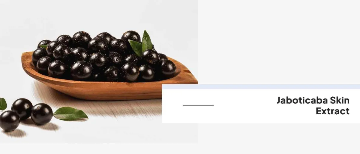 ingredients - 3