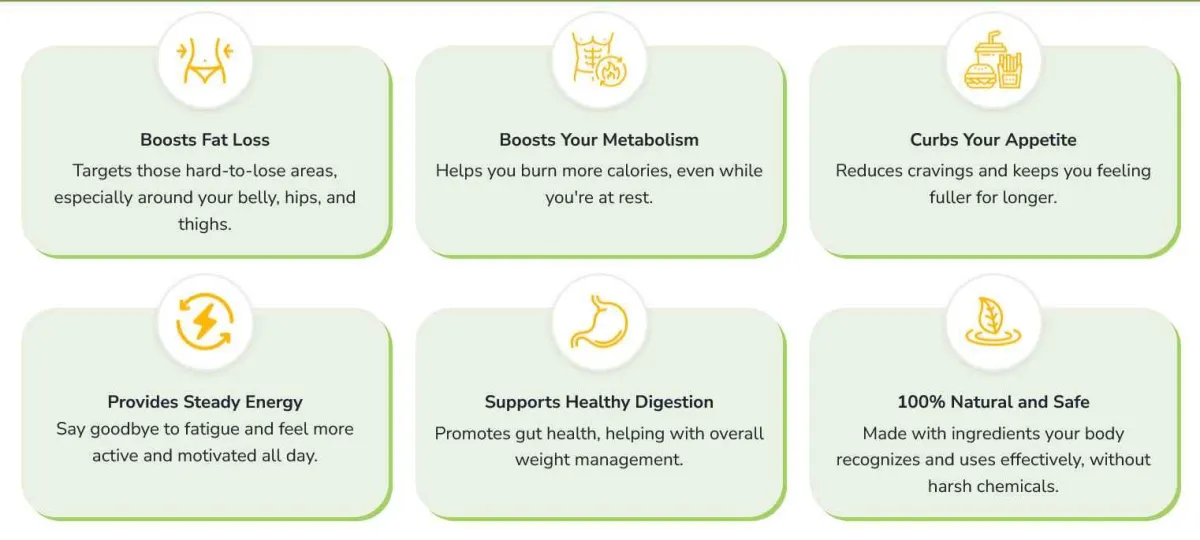 lipozem text presentation