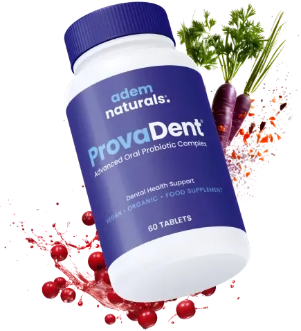 provadent official website