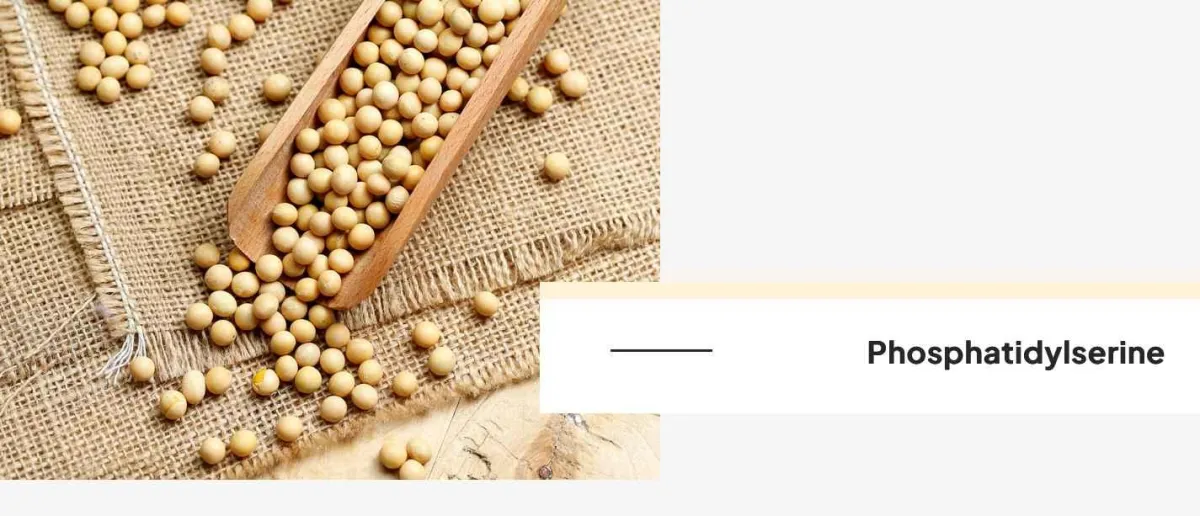 ingredients - 5