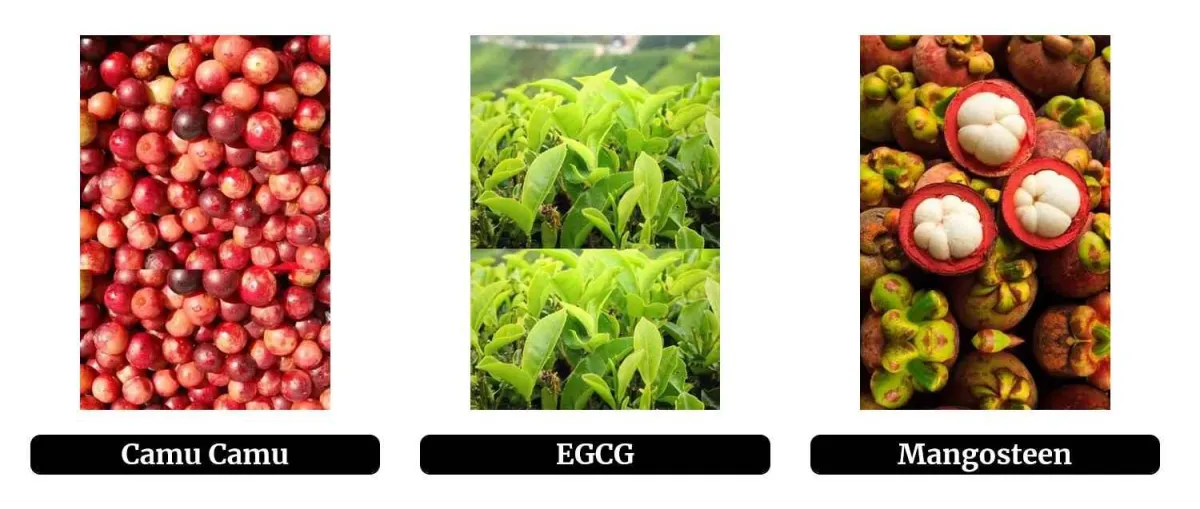 ingredients - 1
