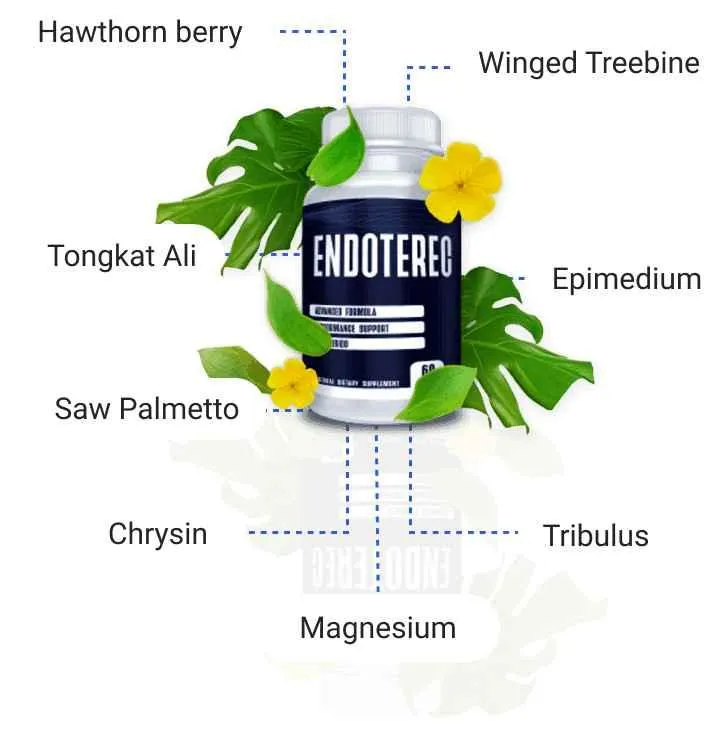 ingredient