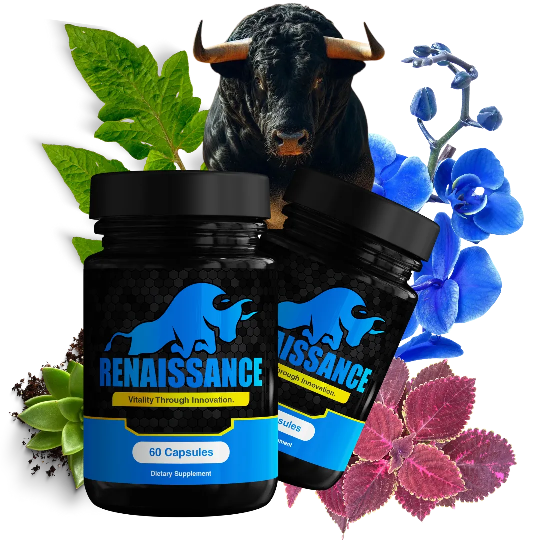 renaissance supplement
