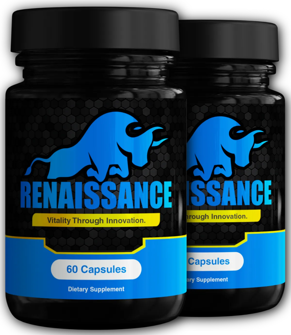 renaissance official website