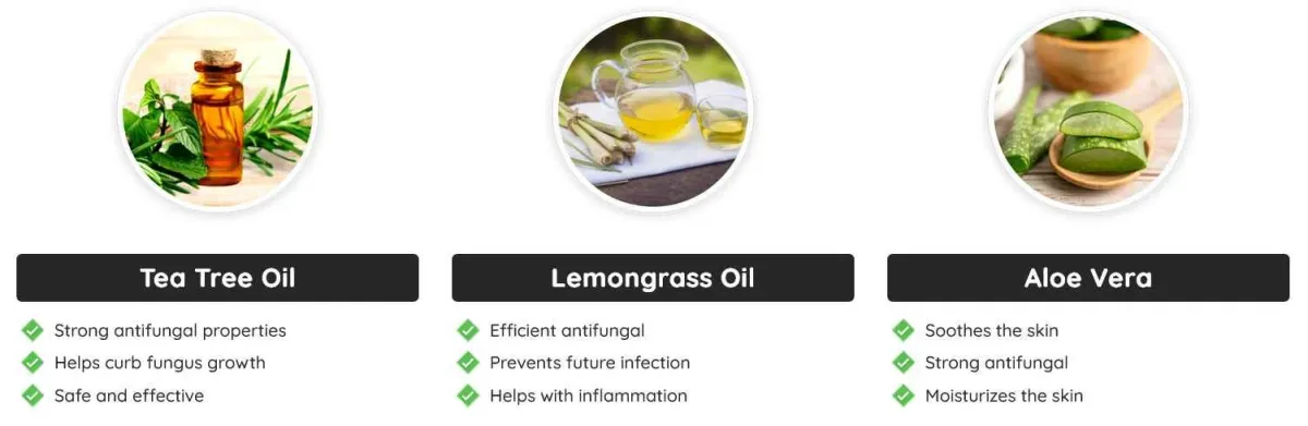 ingredients - 2