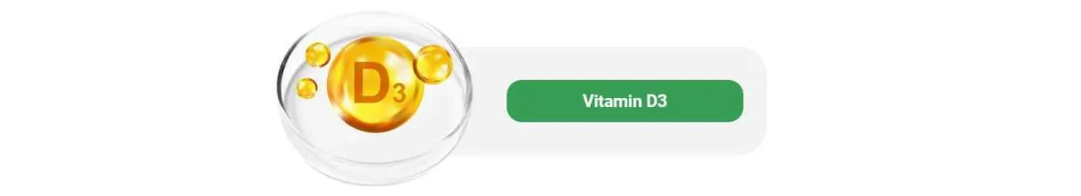 ingredient - 2