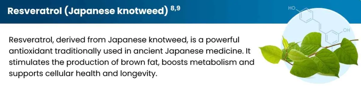 ingredient - 1