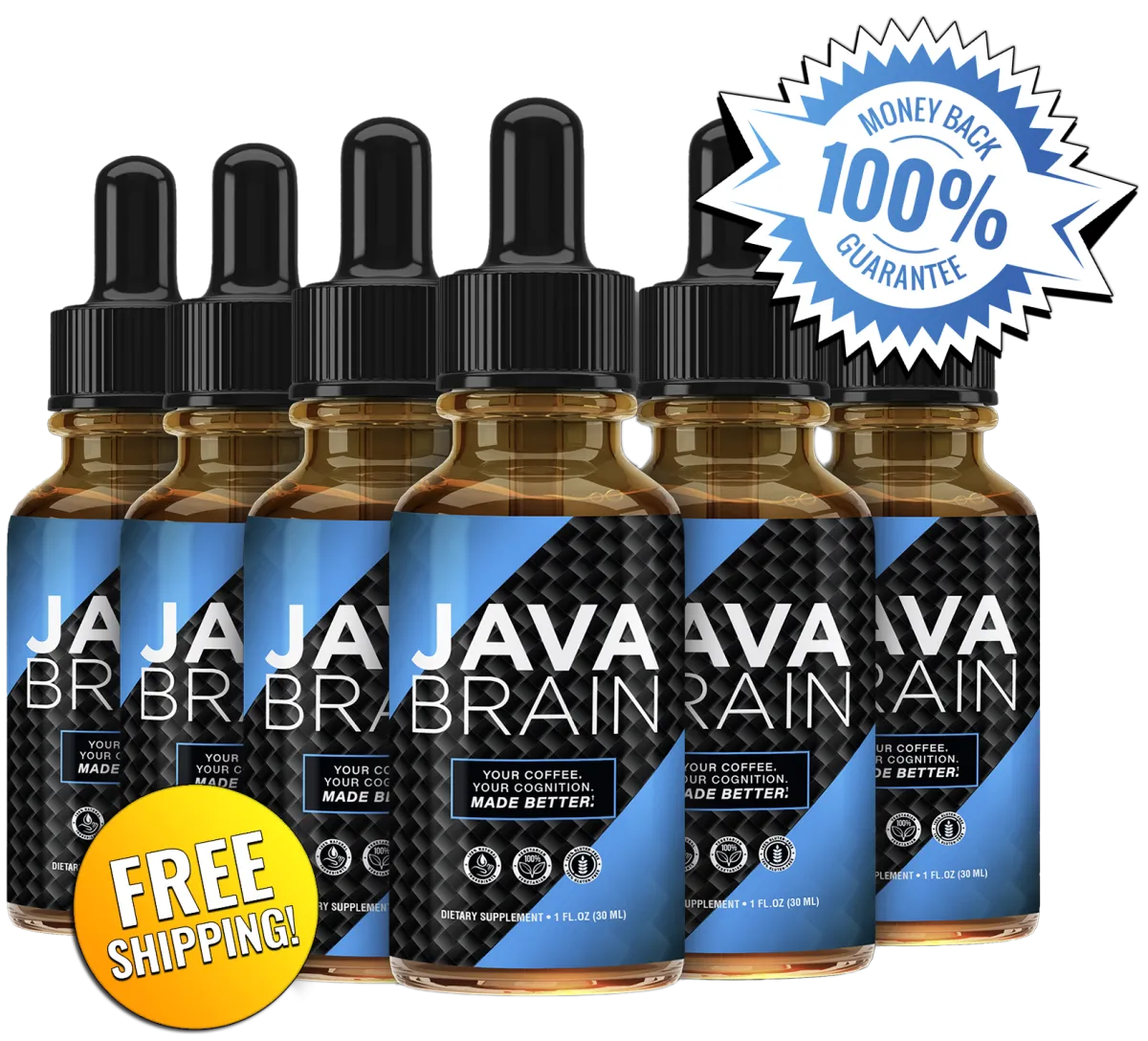 order java brain