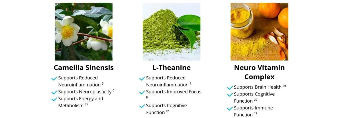 ingredient - 2