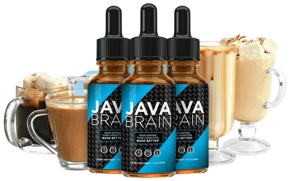 java brain official website