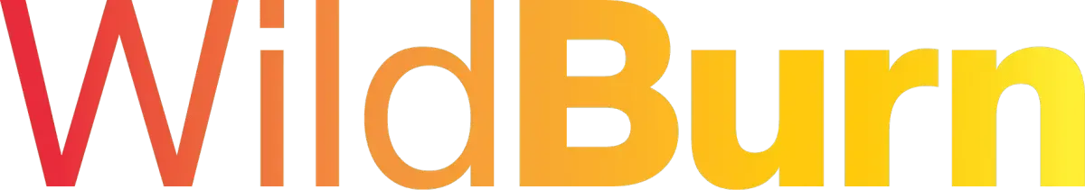 wild burn logo - 1