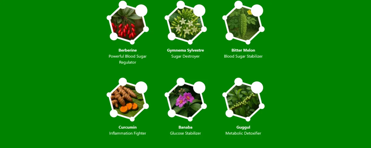 glucogen17 ingredients
