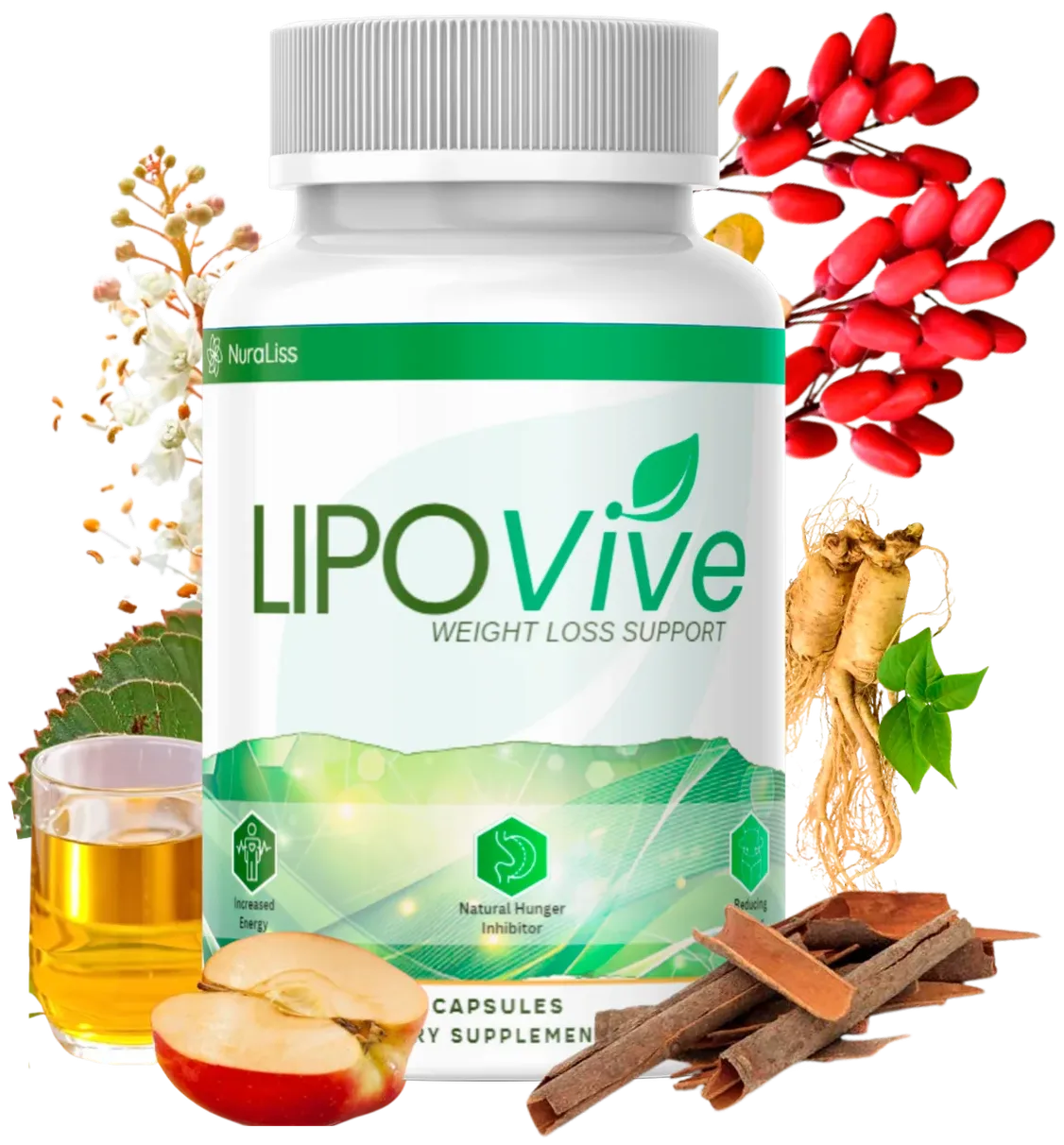 lipovive supplement