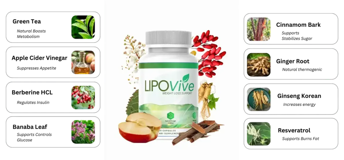 lipovive ingredients list