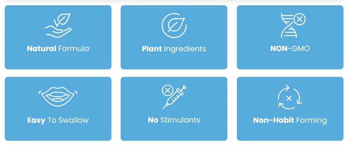 pure moringa text presentation - 1