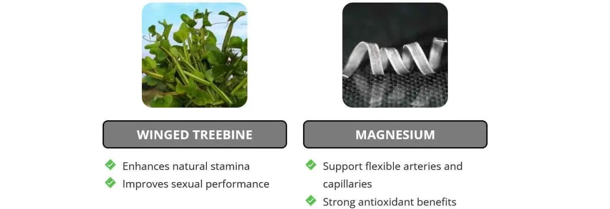 ingredients - 3