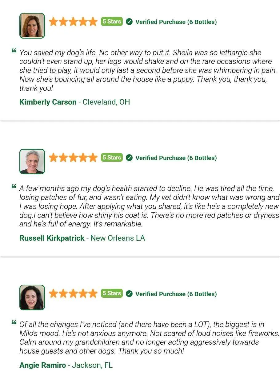 wildgut customer reviews