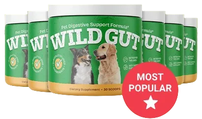 wildgut official website