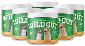 wildgut 6 bottles