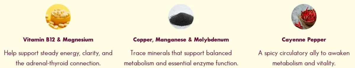 ingredient - 2