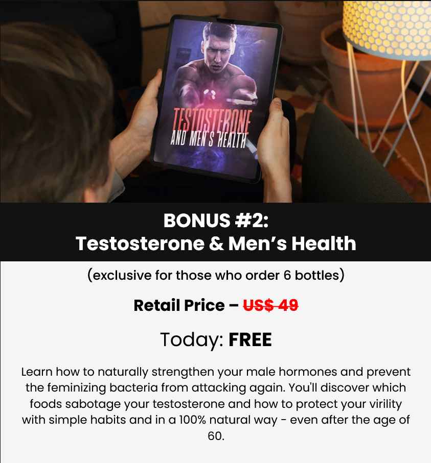 prostate max bonus -