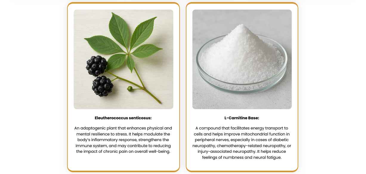 ingredient - 2