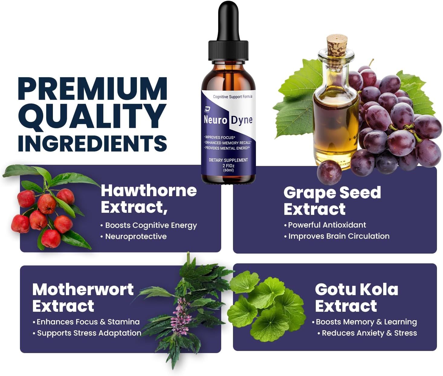 neurodyne all ingredients - 1