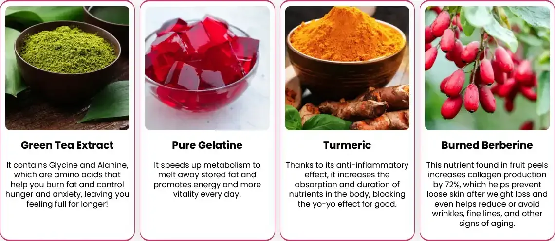 gelatine sculpt all ingredients
