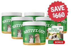 nativegut 6 bottles
