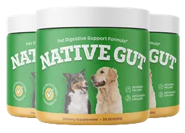 nativegut supplement