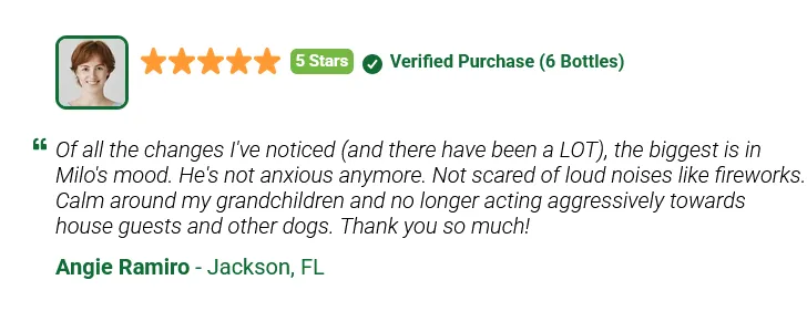 nativegut customer reviews - 3