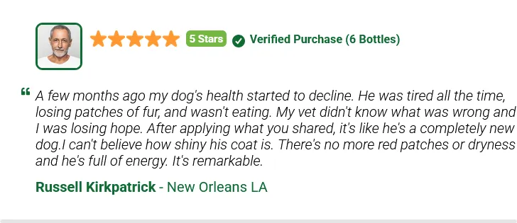 nativegut customer reviews - 2