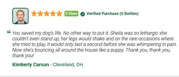 nativegut customer reviews - 1