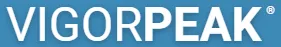 vigorpeak logo - 4