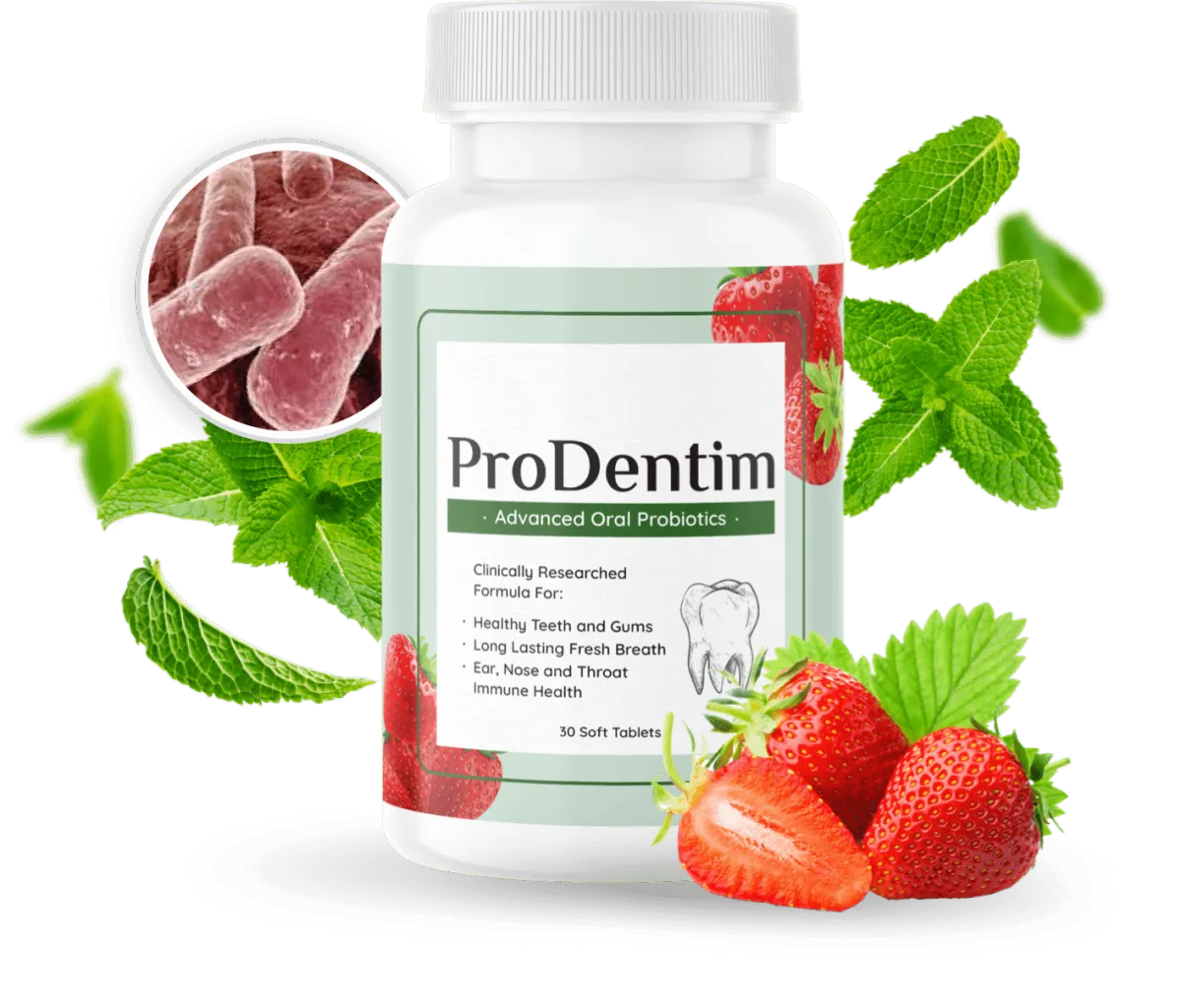 prodentim official website