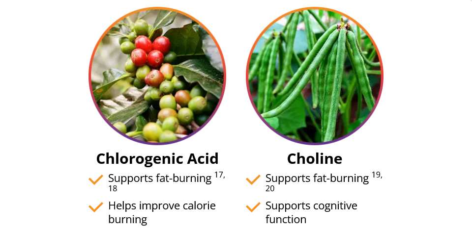 ingredient - 2