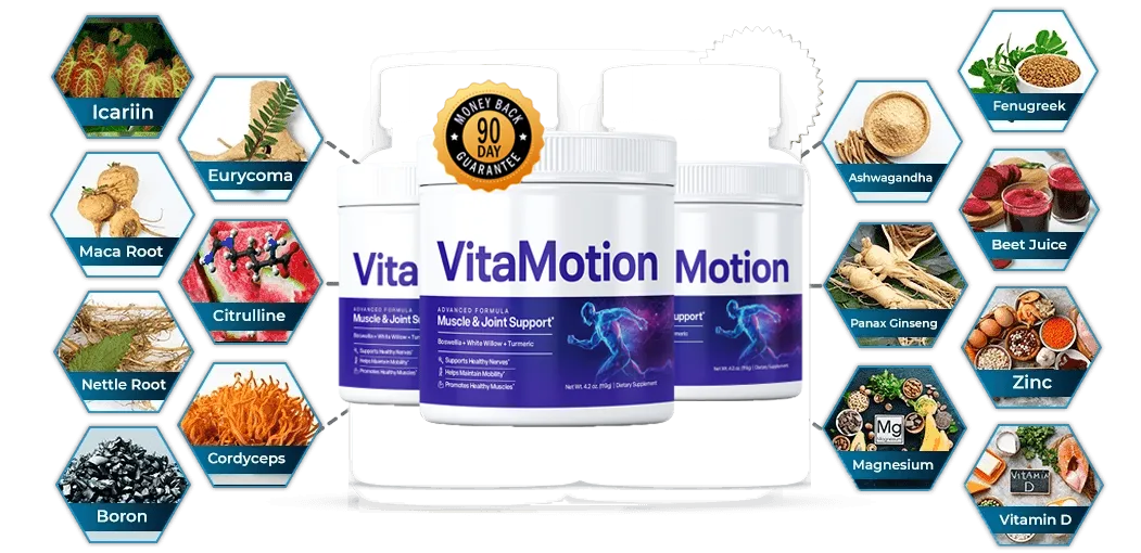 vitamotion all ingredients presentation
