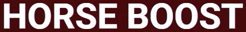 horse boost logo - 5