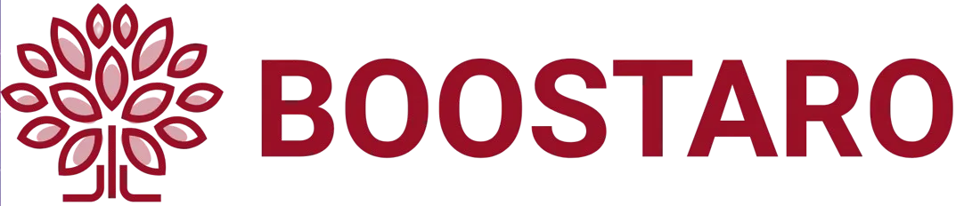 boostaro logo - 6
