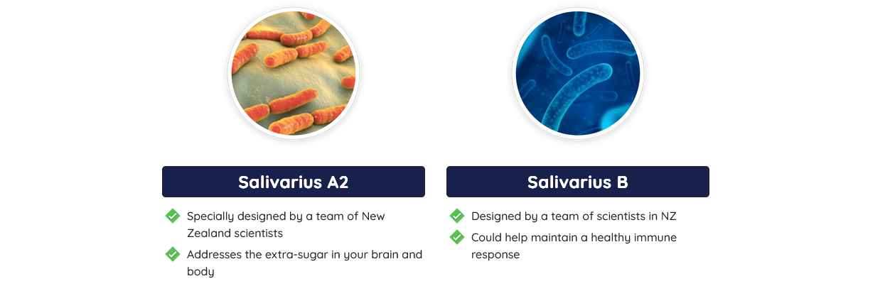 ingredient - 2